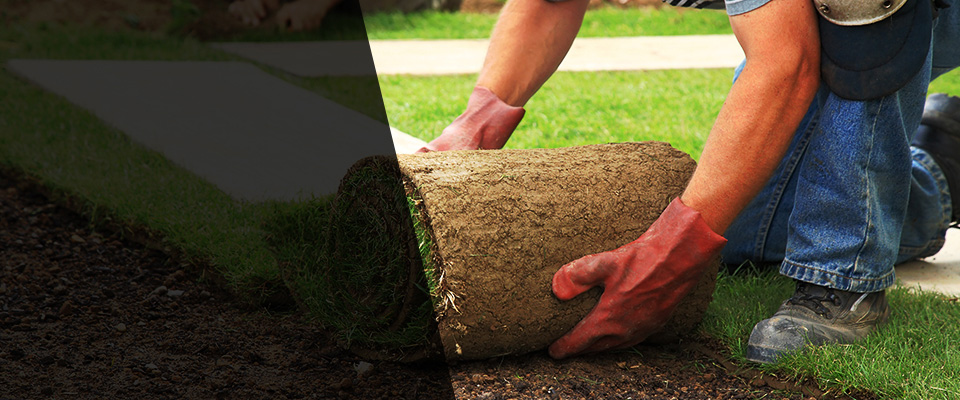 Wesson Landscapers